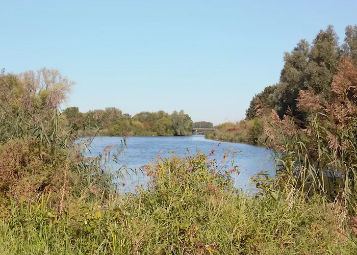 De Hartewens 4* Zuidland