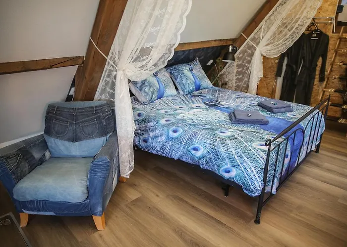 فندق مبيت وإفطار De Hartewens 4*